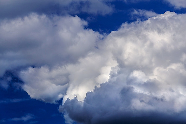 포토 JPG 해외이미지 구름 계절 백그라운드 자연 하늘 날씨 풍경 사람없음 야외 여름 파란색 빛 햇빛 환경 침묵 봄 흰색 분위기 닫기 5월 상승 부드러움 솜털 내추럴 아마추어 진짜 천창 필터 규칙적 해외202008 해외포토 자연요소 컬러 컨셉 모션 태양 소리 감각 날짜 생태계 파일형식