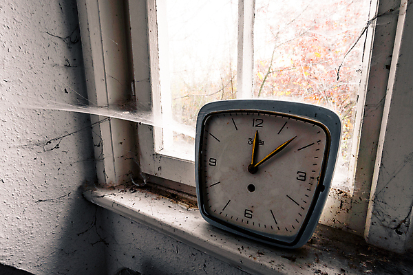 포토 JPG 해외이미지 산업 벽 잎 패턴 의자 건축양식 공장 자연 주택 병원 그림자 사람없음 내부 건물 금속 기계 손상 방 수확 골동품 덮개 죽음 오픈 사건 천 빌라 버리기 천장 복고 먼지 천국 고립 다락방 땅바닥 파멸 혼란 혼자 해외202008 해외포토 식물 건축물 건축 가구 컨셉 무늬 농업 공업 의학 모션 재질 바닥 뚜껑 직물 생태계 파일형식 소멸