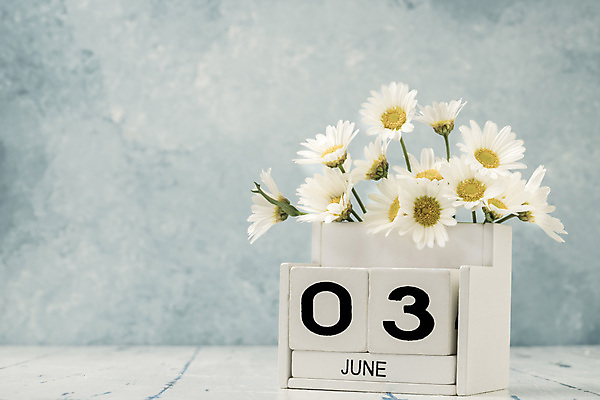 포토 JPG 해외이미지 식물 템플릿 계절 꽃 꽃다발 백그라운드 컨셉 탁자 3 사람없음 목재 숫자 노란색 다이어리 보라색 블록 수확 달력 흰색 시간 날짜 계획 6월 연도 큐브 오브젝트 질감 복고 데이지 내추럴 월 옛날 오늘 조언 카피스페이스 해외202008 해외포토 나무 문자 컬러 가구 농업 재료 사무용품 공백 파일형식