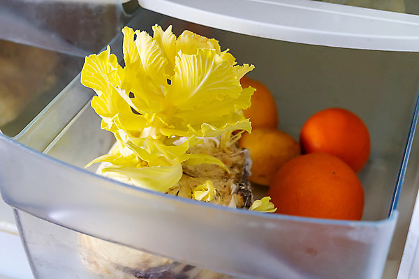 포토 JPG 해외이미지 음식 과학 채소 오렌지 과일 주택 건강 사람없음 주방 버섯 장비 흰색 오픈 상품 위험 레몬 가득함 유기농 생물학 양배추 감염 수납 불쾌함 낭비 나쁜 곰팡이 썩음 해로움 해외202008 해외포토 웰빙 교육 감정 컬러 컨셉 건물 파일형식