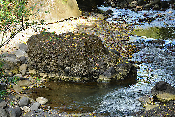 포토 JPG 해외이미지 여행 자연 휴가 사람없음 야외 물 강 수영 목욕 폭포 흐름 시골 도시 개울 상쾌 타운 현재 해외202008 해외포토 자연요소 감정 컨셉 청결 수상스포츠 생태계 파일형식