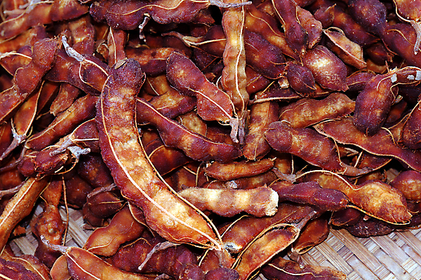 포토 JPG 해외이미지 음식 잎 곡선 다이어트 채소 과일 재료 태국 자연 디저트 콩 건강 요리 씨앗 사람없음 목재 가로 빨간색 농작물 갈색 쌓기 껍질 신선 오픈 그룹 시장 달콤 맛 먹기 오브젝트 유기농 날것 내추럴 숙성 식용 이국적 채식주의자 맛있는 해외202008 해외포토 나무 식물 웰빙 아시아 선 컬러 컨셉 농업 모션 곡류 생태계 채식 파일형식