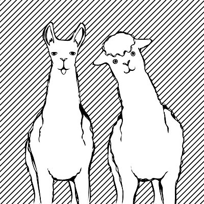 EPS 해외이미지 동물 캐릭터 행복 문화 얼굴 야생동물 어린이 2 일러스트 포유류 털 흑백 동물원 미소 반려동물 농장 검은색 미국 줄무늬 흰색 신용카드 소 달콤 인쇄 시원함 만화 스케치 혀 심플 엽서 긍정 솜털 칠레 부족 양모 알파카 페루 해외202008 해외일러스트 일러캐릭터 감정 컬러 컨셉 북아메리카 무늬 농업 촬영기법 표정 미술 사람 신체부위 금융 직물 입 남아메리카 맛 편지 파일형식 벡터