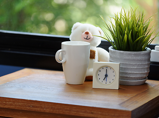 포토 JPG 해외이미지 동물 라이프스타일 디자인 화분 커피 음료 음식 인형 백그라운드 컨셉 창문 곰 베개 자연 탁자 아침 주택 실내 사람없음 내부 목재 장식 컵 초록색 파란색 장난감 갈색 곰인형 방 흰색 침대 커튼 달콤 아침식사 커피잔 모피 책상 아로마 부드러움 에스프레소 폭식 카페인 카피스페이스 해외202008 해외포토 주간 나무 식기 컬러 가구 재료 포유류 침구 잔 건물 생활 식사 공백 감각 맛 생태계 파일형식