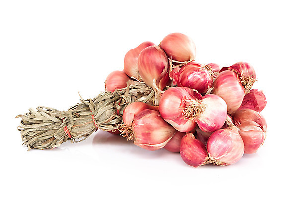 포토 JPG 해외이미지 식물 음식 백그라운드 농업 다이어트 채소 재료 전구 자연 양파 건조 건강 요리 사람없음 빨간색 농장 노란색 마을 수확 흰색 신선 그룹 시장 향신료 유기농 날것 내추럴 고립 채식주의자 해외202008 해외포토 웰빙 산업 컬러 생태계 채식 향미료 파일형식