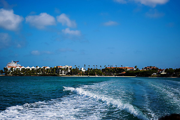 포토 JPG 해외이미지 나무 모래 바다 섬 여행 자연 하늘 휴가 손바닥 풍경 사람없음 야외 물 여름 파란색 야자수 맑음 흰색 휴양지 코코넛 카리브해 이국적 파라다이스 수평선 해외202008 해외포토 자연요소 식물 손 계절 컬러 과일 날씨 장소 생태계 파일형식