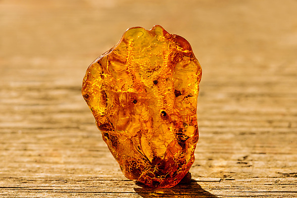 포토 JPG 해외이미지 자연 사람없음 빛 주황색 투명 보석 화석 앰버 해외포토 컬러 광석 생태계 파일형식