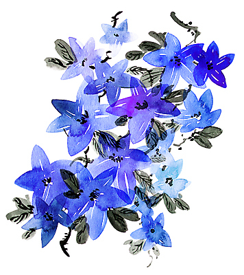 포토 JPG 해외이미지 나무 식물 계절 꽃잎 꽃 줄기 잎 꽃무늬 일러스트 자연 수채화 잉크 미술 동양인 사람없음 목재 장식 여름 파란색 정원 일본 중국 봄 벚꽃 나뭇가지 붓 개화 그림 동쪽 묘목 핸드메이드 해외202008 해외포토 아시아 컬러 무늬 재료 문화예술 인종 방향 생태계 파일형식