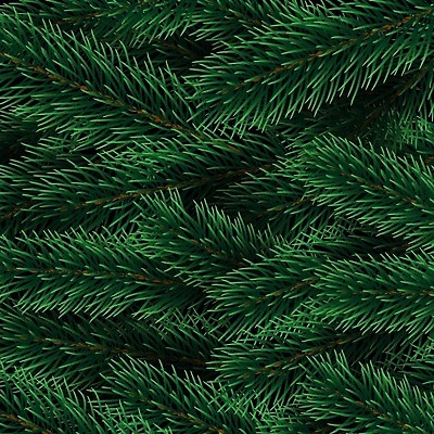 EPS 해외이미지 나무 식물 템플릿 전통 디자인 배너 계절 백그라운드 크리스마스 겨울 패턴 일러스트 자연 벽지 휴가 새로움 프레임 장식 초록색 3D 축제 나뭇가지 축하 소나무 신용카드 화려 연도 질감 상록수 전나무 내추럴 가문비나무 현실 국경 해외202008 해외일러스트 기념일 컬러 컨셉 무늬 금융 디지털합성 생태계 파일형식 벡터