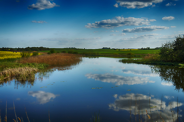 포토 JPG 해외이미지 나무 구름 계절 공원 호수 여행 잎 자연 하늘 표면 휴식 갈대 풍경 초원 사람없음 야외 초록색 물 여름 파란색 강 햇빛 태양 반사 노란색 평화 환경 침묵 황혼 시골 연못 숲 그림 장면 해외202008 해외포토 자연요소 식물 공공시설 컬러 컨셉 소리 일몰 생태계 파일형식