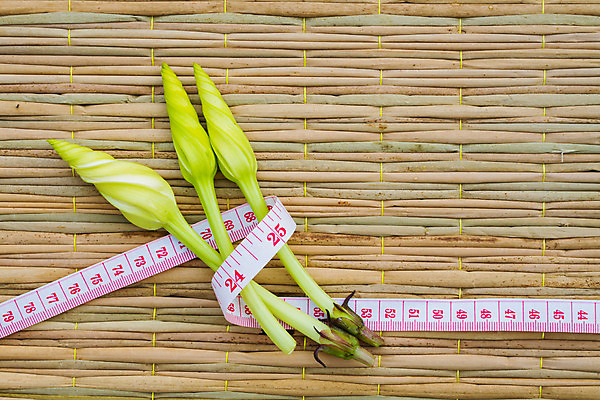 포토 JPG 해외이미지 식물 전통 꽃 음식 컨셉 다이어트 채소 자연 건강 사람없음 초록색 약 정원 샐러드 그룹 몸무게 먹기 허브 날씬함 테이프 내추럴 제어 채식주의자 카피스페이스 해외202008 해외포토 컬러 의학 모션 문구용품 공백 몸매 생태계 채식 파일형식