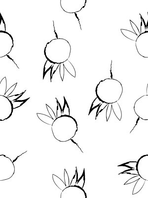 EPS 해외이미지 계절 열매 포스터 백그라운드 패턴 일러스트 미술 검은색 가을 흰색 낙서 인쇄 그림 해외202008 해외일러스트 식물 컬러 무늬 문화예술 파일형식 벡터