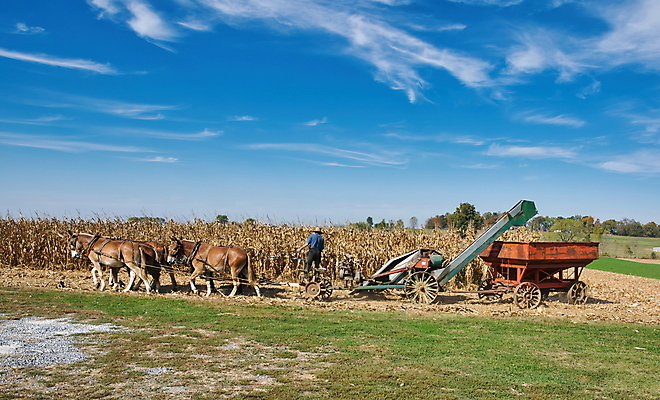 포토 JPG 해외이미지 식물 구름 종교 여행 밭 농업 자연 하늘 파노라마 옥수수 풍경 사람없음 야외 초록색 파란색 농작물 농장 환경 미국 수확 성장 시골 신선 숲 땅 유기농 마차 내추럴 외양간 밭일 해외202008 해외포토 자연요소 웰빙 산업 교통수단 컬러 북아메리카 곡류 촬영기법 생태계 파일형식