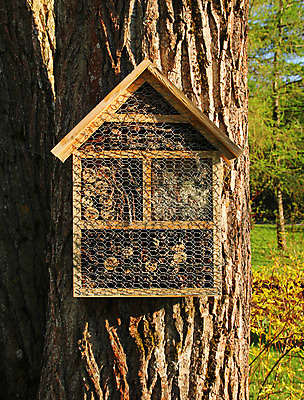 포토 JPG 해외이미지 나무 곤충 자연 호텔 주택 사람없음 목재 초록색 상자 환경 정원 봄 벌레 둥지 보호 생태계 내추럴 생태학 해외202008 해외포토 식물 동물 계절 교육 컬러 컨셉 재료 숙소 건물 파일형식