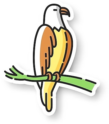 EPS 해외이미지 한마리 스티커 일러스트 사람없음 나뭇가지 독수리 해외202008 해외일러스트 나무 1 조류 파일형식 벡터