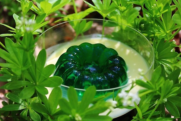 포토 JPG 해외이미지 식물 자연 디저트 사람없음 정원 봄 성장 달콤 숲 내추럴 해외202008 해외포토 계절 음식 맛 생태계 파일형식