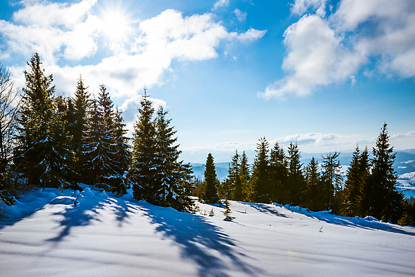 포토 JPG 해외이미지 나무 구름 유럽 여행 겨울 자연 하늘 휴가 스키 산 파노라마 그림자 풍경 사람없음 야외 태양 맑음 냉동 얼음 트래킹 하이킹 추위 성장 흰색 소나무 숲 언덕 서리 북쪽 슬로프 산악지대 웅장함 절정 폭설 눈내림 가문비나무 해외202008 해외포토 자연요소 식물 계절 나라 컬러 레저 날씨 겨울스포츠 스키장 눈_날씨 촬영기법 자연재해 방향 생태계 파일형식
