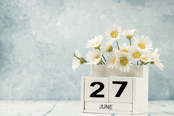 포토 JPG 해외이미지 식물 템플릿 계절 꽃 꽃다발 백그라운드 컨셉 탁자 사람없음 목재 숫자 노란색 다이어리 블록 수확 달력 흰색 시간 날짜 계획 6월 연도 큐브 오브젝트 질감 복고 데이지 내추럴 월 옛날 오늘 조언 카피스페이스 해외202008 해외포토 나무 문자 컬러 가구 농업 재료 사무용품 공백 파일형식