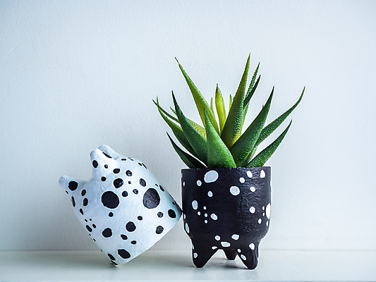 포토 JPG 해외이미지 식물 라이프스타일 디자인 꽃 컨셉 자연 선반 선인장 주택 미술 사람없음 장식 초록색 우주 검은색 흰색 신선 점 도자기 그리기 냄비 작음 컨테이너 오브젝트 시멘트 기하학 리빙 DIY 고립 미니 심기 콘크리트 특별함 파스텔톤 핸드메이드 스타일 미니멀 해외202008 해외포토 산업 컬러 가구 무늬 모션 문화예술 취미 건물 생활 솥 크기 생태계 파일형식