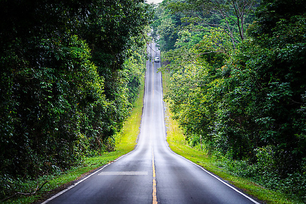 포토 JPG 해외이미지 나무 공원 도로 길 선 여행 자연 산 거리 풍경 경사 사람없음 야외 목재 초록색 환경 시골 고속도로 숲 열대우림 언덕 내추럴 방법 삼림지대 직진 해외202008 해외포토 식물 공공시설 컬러 재료 교통시설 생태계 파일형식