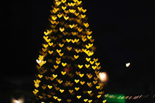 포토 JPG 해외이미지 모양 디자인 커플 행복 분홍색 여행 결혼 백그라운드 패턴 벽지 추상 휴가 발렌타인데이 선물 사랑 미술 이벤트 사람없음 장식 빨간색 빛 장미 우주 어둠 낭만 수확 하트 축하 신용카드 투명 떨어짐 야간 심볼 질감 보케 마법 2월 엘리먼트 해외202008 해외포토 자연요소 꽃 감정 컬러 컨셉 무늬 농업 관계 데이이벤트 문화예술 금융 날짜 파일형식