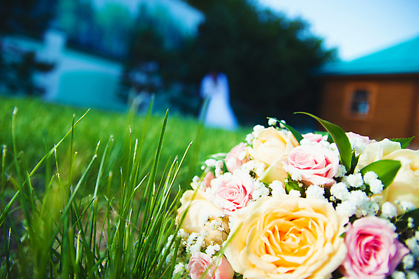 포토 JPG 해외이미지 꽃잎 꽃 분홍색 꽃다발 결혼 꽃무늬 자연 결혼식 사랑 사람없음 장식 초록색 장미 벚꽃 흰색 축하 다발 배열 해외202008 해외포토 식물 감정 컬러 컨셉 무늬 이벤트 생태계 파일형식