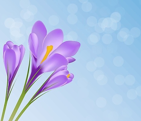 EPS 해외이미지 식물 계절 꽃잎 꽃 줄기 꽃다발 백그라운드 잎 일러스트 자연 초록색 파란색 농작물 머리 보라색 봄 들꽃 벚꽃 흰색 꽃술 시골 투명 우아함 8 작음 자주색 자르기 오브젝트 싱글 장면 붓꽃 고립 해외202008 해외일러스트 컬러 컨셉 농업 모션 신체부위 숫자 크기 생태계 파일형식 벡터