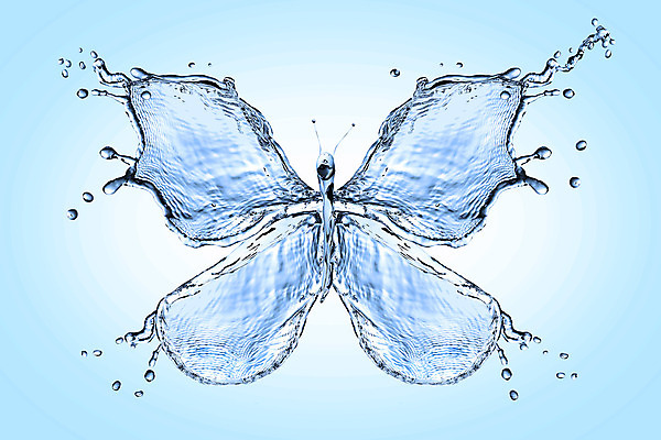 포토 JPG 해외이미지 모양 파도 나비 곤충 날개 모션 자연 추상 사람없음 물 파란색 젖음 흐름 물방울 투명 액체 떨어짐 순수 잔물결 취급주의 스플래쉬 해외202008 해외포토 자연요소 동물 물결 바다 컬러 컨셉 무늬 경고 생태계 파일형식