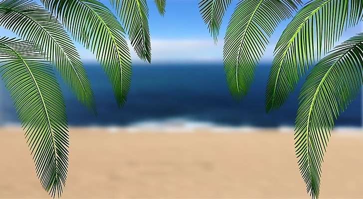 EPS 해외이미지 나무 식물 디자인 섬 백그라운드 잎 패턴 일러스트 자연 벽지 손바닥 미술 장식 초록색 여름 컬러풀 유행 정원 봄 수확 흰색 나뭇가지 직물 인쇄 천 사파리 그림 질감 하와이 캘리포니아 브라질 고립 아열대 이국적 인기 해외202008 해외일러스트 손 계절 컬러 무늬 농업 문화예술 미국 남아메리카 생태계 파일형식 벡터