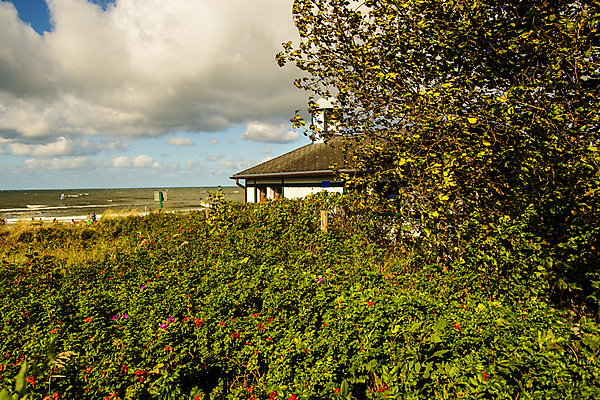 포토 JPG 해외이미지 바다 백그라운드 과일 하늘 휴가 주택 사람없음 빨간색 초록색 파란색 산책로 가을 관목 해외202008 해외포토 나무 계절 길 컬러 건물 파일형식