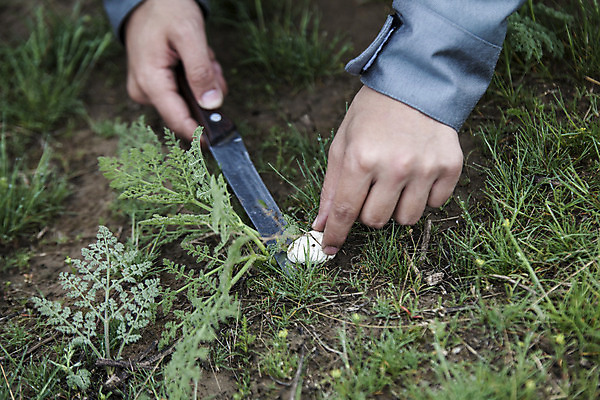 포토 JPG 해외이미지 남자 밭 자연 하늘 한명 사람 초원 20대 성인 취미 사람없음 야외 가로 캐주얼 파란색 컬러풀 가을 잡기 수집 점검 남자한명만 성인만 해외202008 해외포토 1 옷 계절 컬러 농업 모션 청년 생태계 남자만 파일형식