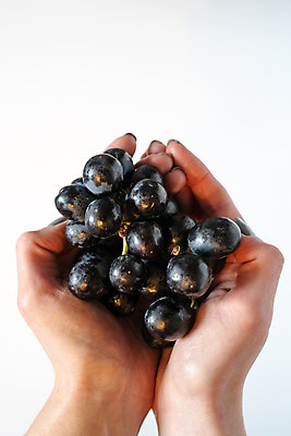 포토 JPG 해외이미지 손 웰빙 음료 음식 다이어트 채소 오렌지 과일 딸기 포도 바나나 건강 관리 요리 사람없음 빨간색 초록색 노란색 검은색 식사 저녁식사 샐러드 껍질 하트 잡기 오픈 아침식사 사과 설탕 자르기 피부 파인애플 유기농 슬라이스 비타민 내추럴 점심식사 스무디 채식주의자 해외202008 해외포토 모양 컬러 모션 신체부위 열대과일 채식 영양소 파일형식