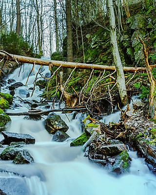 포토 JPG 해외이미지 나무 식물 여행 잎 겨울 자연 이끼 풍경 초원 사람없음 야외 목재 초록색 물 강 환경 맑음 얼음 침묵 폭포 흐름 가을 바위 개울 황무지 숲 크리스탈 회전 내추럴 생태학 해외202008 해외포토 자연요소 계절 교육 컬러 컨셉 재료 날씨 소리 돌_바위 광석 생태계 파일형식