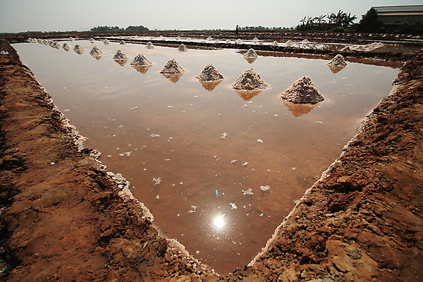 포토 JPG 해외이미지 아시아 자연 사람없음 야외 캄보디아 수평선 해외202008 해외포토 나라 생태계 파일형식
