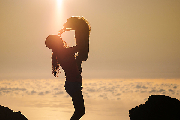 포토 JPG 해외이미지 동물 백인 구름 라이프스타일 여자 행복 실루엣 포즈 포유류 가족 관계 놀이 휴식 키스 함께함 사랑 한명 미소 사람 성인 야외 반려동물 청춘 햇빛 일출 일몰 우정 기쁨 자유 신혼여행 개 강아지 송곳니 동반자 입양 해외202008 해외포토 자연요소 서양인 1 감정 결혼 컨셉 촬영기법 표정 생활 친구 태양 노을 치아 애정표현 파일형식