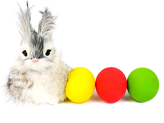 포토 JPG 해외이미지 동물 전통 디자인 계절 백그라운드 휴가 부활절 털 사람없음 장식 빨간색 파란색 반려동물 컬러풀 노란색 바구니 계란 축제 봄 회색 흰색 축하 토끼 그리기 닫기 작음 모피 심볼 오브젝트 사냥 솜털 고립 파스텔톤 많음 해외202008 해외포토 기념일 컬러 컨셉 포유류 모션 알 크기 파일형식