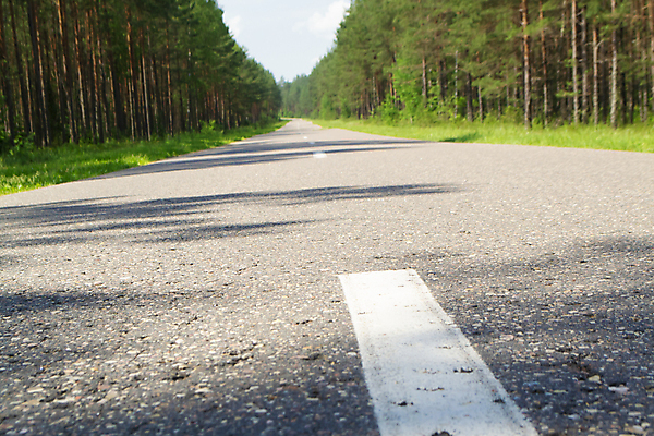포토 JPG 해외이미지 나무 식물 계절 공원 도로 길 여행 백그라운드 컨셉 무늬 교통시설 자연 새로움 거리 풍경 초원 사람없음 초록색 여름 평화 환경 침묵 자유 시골 고속도로 보행로 보호 숲 오솔길 아스팔트 방향 장면 루트 무한 방법 벨로루시 영원 지속성 직진 해외202008 해외포토 공공시설 컬러 교통 소리 시설 생태계 파일형식
