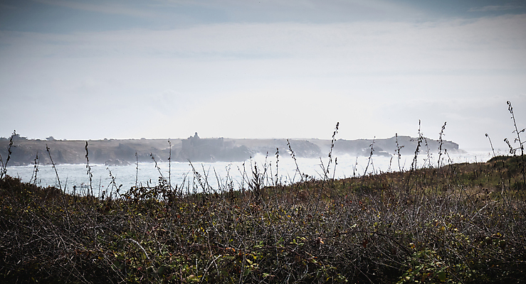 포토 JPG 해외이미지 식물 구름 모래 바다 줄기 섬 백그라운드 컨셉 밭 오렌지 자연 하늘 건조 갈대 풍경 사람없음 야외 여름 파란색 빛 컬러풀 햇빛 태양 노란색 일몰 프랑스 시골 닫기 자연백그라운드 반대 내추럴 해외202008 해외포토 자연요소 계절 유럽 컬러 농업 과일 모션 노을 생태계 파일형식