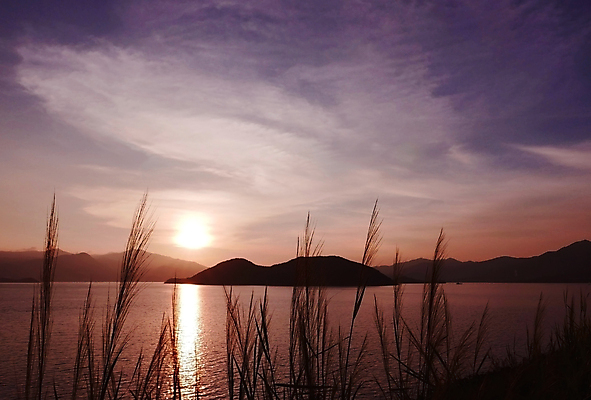 포토 JPG 해외이미지 실루엣 바다 백그라운드 오렌지 자연 하늘 산 풍경 경사 사람없음 야외 물 여름 빛 태양 일출 일몰 새벽 시골 만 저녁 내추럴 수평선 해외202008 해외포토 자연요소 계절 과일 촬영기법 노을 야간 생태계 파일형식