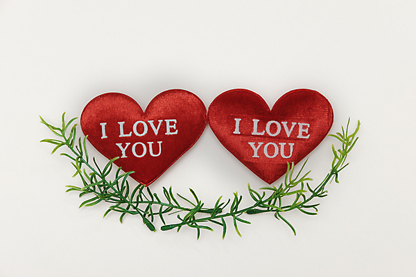 포토 JPG 해외이미지 모양 디자인 종이 백그라운드 컨셉 잎 2 패턴 베개 추상 아이디어 발렌타인데이 사랑 미술 사람없음 장식 빨간색 초록색 단어 하트 직물 플랫 선택 천 쌍둥이 질감 위치 미니 승인 스타일 힙스터 해외202008 해외포토 식물 문자 패션 감정 컬러 무늬 가족 침구 데이이벤트 문화예술 파일형식