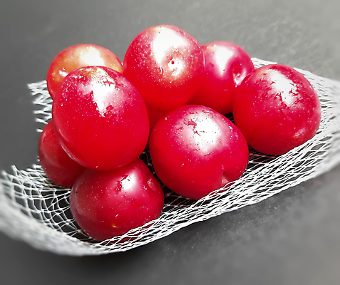 포토 JPG 해외이미지 열매 음식 백그라운드 잎 농업 다이어트 오렌지 과일 재료 자연 탁자 디저트 건강 사람없음 목재 빨간색 초록색 여름 덮개 가을 흰색 신선 체리 그룹 사발 달콤 맛 아침식사 유기농 날것 비타민 자두 내추럴 숙성 채식주의자 비건 맛있는 해외202008 해외포토 나무 식물 웰빙 계절 산업 컬러 가구 컨셉 식사 뚜껑 사기그릇 생태계 채식 영양소 파일형식