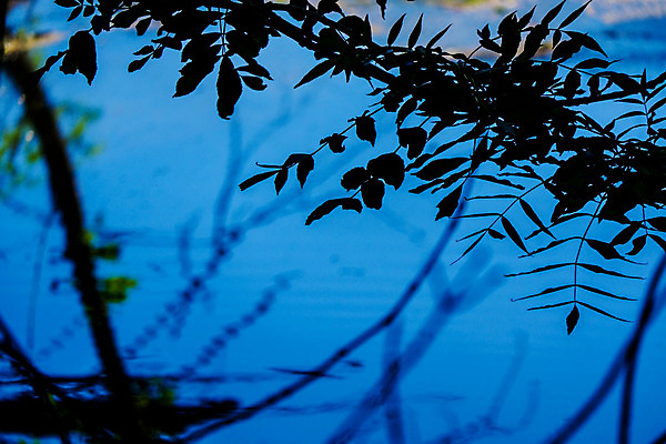 포토 JPG 해외이미지 나무 백그라운드 잎 자연 영국 이끼 풍경 사람없음 초록색 물 여름 강 봄 펼침 나뭇가지 시골 개울 닫기 강가 지역 멀리 설정 삼림지대 울퉁불퉁 화창 해외202008 해외포토 자연요소 식물 계절 유럽 컬러 모션 날씨 숲 생태계 파일형식