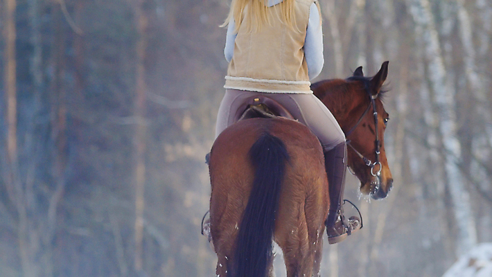 포토 JPG 해외이미지 동물 라이프스타일 여자 행복 이동 겨울 관계 포옹 자연 갈색머리 함께함 사람없음 갈색 검은색 힘 만지기 자유 레이싱 승마 개 승차 속도 굴레 라이더 쓰다듬기 해외202008 해외포토 헤어스타일 계절 감정 스포츠 컬러 컨셉 포유류 안기 모션 사람 시합 생활 생태계 파일형식