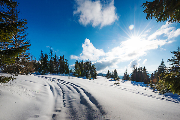 포토 JPG 해외이미지 나무 구름 유럽 여행 겨울 자연 하늘 휴가 스키 산 파노라마 풍경 사람없음 야외 파란색 태양 맑음 냉동 얼음 트래킹 하이킹 추위 성장 흰색 소나무 숲 언덕 서리 북쪽 슬로프 산악지대 웅장함 절정 폭설 눈내림 가문비나무 해외202008 해외포토 자연요소 식물 계절 나라 컬러 레저 날씨 겨울스포츠 스키장 눈_날씨 촬영기법 자연재해 방향 생태계 파일형식