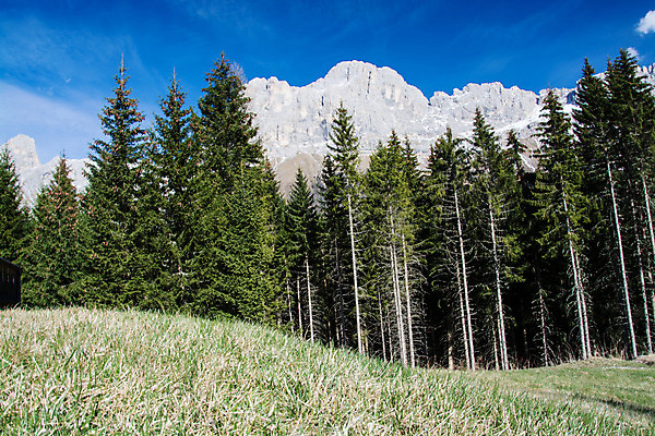 포토 JPG 해외이미지 자연 산 풍경 사람없음 봄 이탈리아 4월 알프스 해외202008 해외포토 계절 유럽 날짜 생태계 파일형식