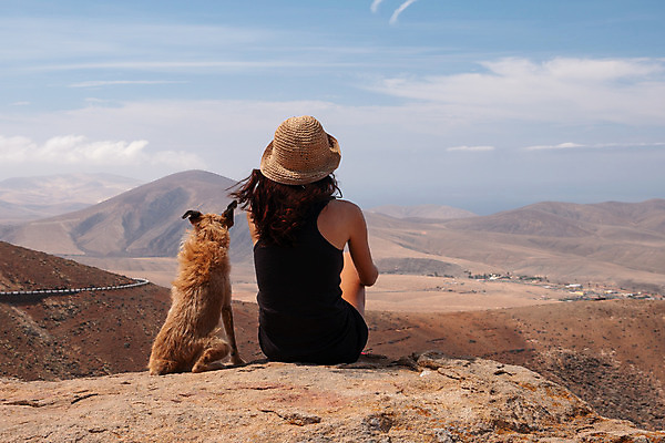 포토 JPG 해외이미지 동물 라이프스타일 여자 청소년 자연 하늘 휴식 산 한명 사람 앉기 풍경 성인 야외 여름 반려동물 자유 해외202008 해외포토 1 계절 컨셉 모션 생활 생태계 파일형식