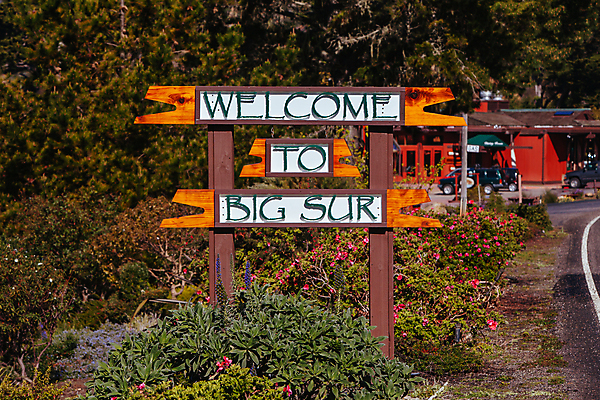 포토 JPG 해외이미지 식물 도로 여행 자동차 자연 휴가 사람없음 여행객 고속도로 사인 캘리포니아 해외202008 해외포토 길 육상교통 교통시설 사람 미국 생태계 파일형식