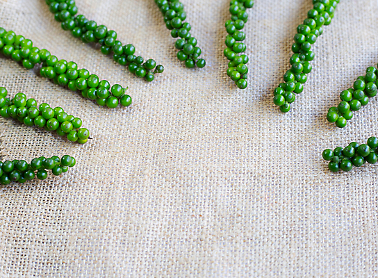 포토 JPG 해외이미지 커플 음식 백그라운드 농업 채소 가방 재료 전구 건강 마늘 요리 씨앗 사람없음 농작물 갈색 세일 수확 신선 그룹 시장 맛 다발 묘사 유기농 싸움 날것 향료 향 성분 동쪽 내추럴 고립 식용 채식주의자 강황 해외202008 깎기 해외포토 식물 웰빙 잡화 산업 컬러 컨셉 식재료 관계 모션 방향 채식 향기 냄새 파일형식