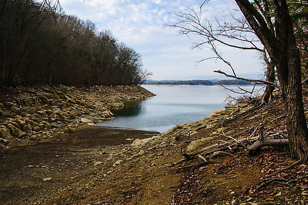 포토 JPG 해외이미지 나무 식물 야생동물 여행 백그라운드 북아메리카 건조 풍경 사람없음 물 세계 미국 액체 숲 해외202008 해외포토 자연요소 동물 아메리카 파일형식