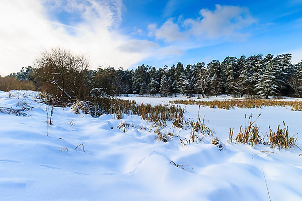 포토 JPG 해외이미지 나무 식물 구름 계절 공원 호수 백그라운드 크리스마스 겨울 자연 하늘 날씨 풍경 사람없음 야외 목재 물 파란색 빛 강 햇빛 태양 환경 냉동 얼음 추위 흰색 나뭇가지 연못 소나무 숲 12월 11월 서리 장면 1월 내추럴 2월 눈내림 해외202008 해외포토 자연요소 공공시설 기념일 컬러 재료 눈_날씨 날짜 생태계 파일형식